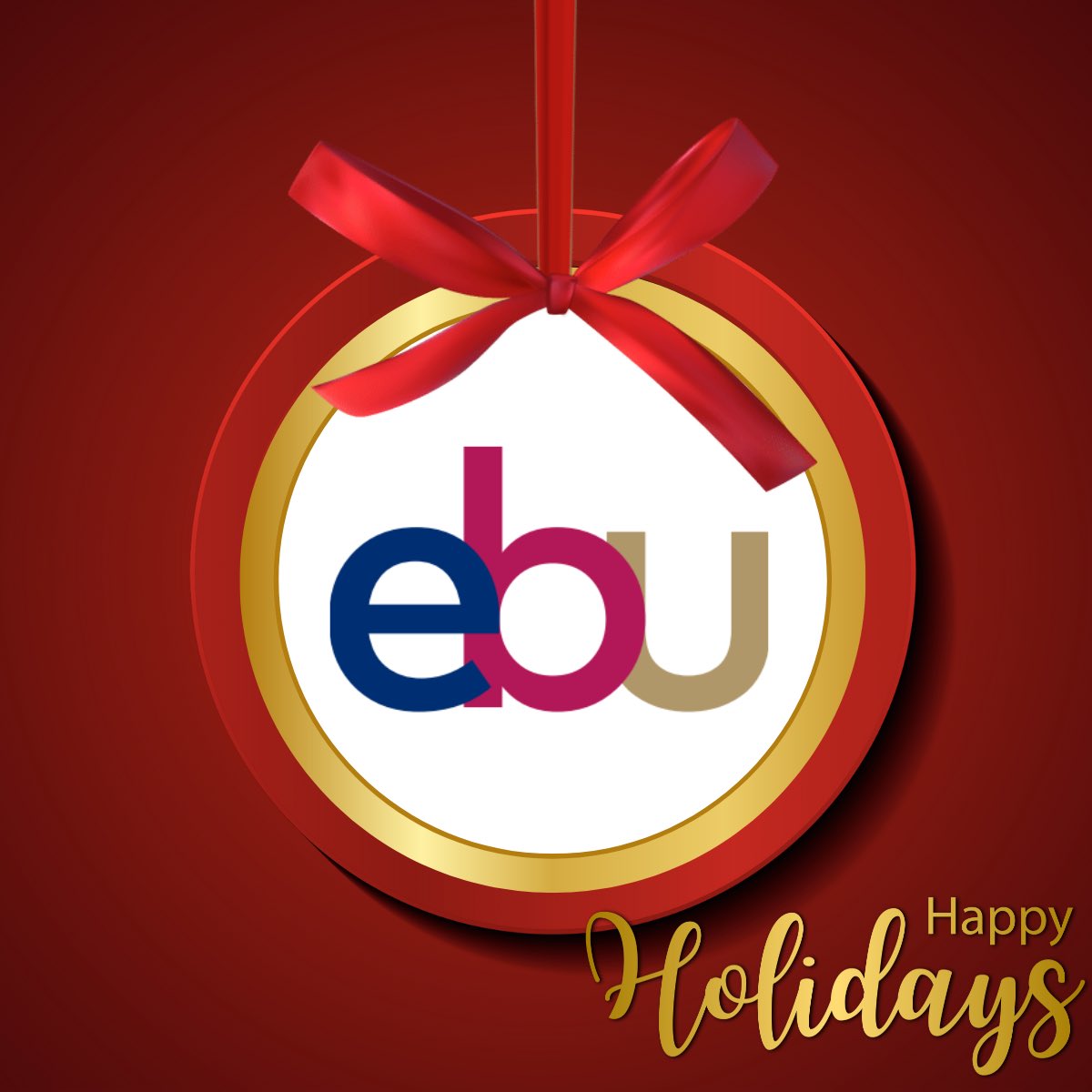 Happy Holidays from the European Board of Urology! 

#ebu #european_board_of_urology