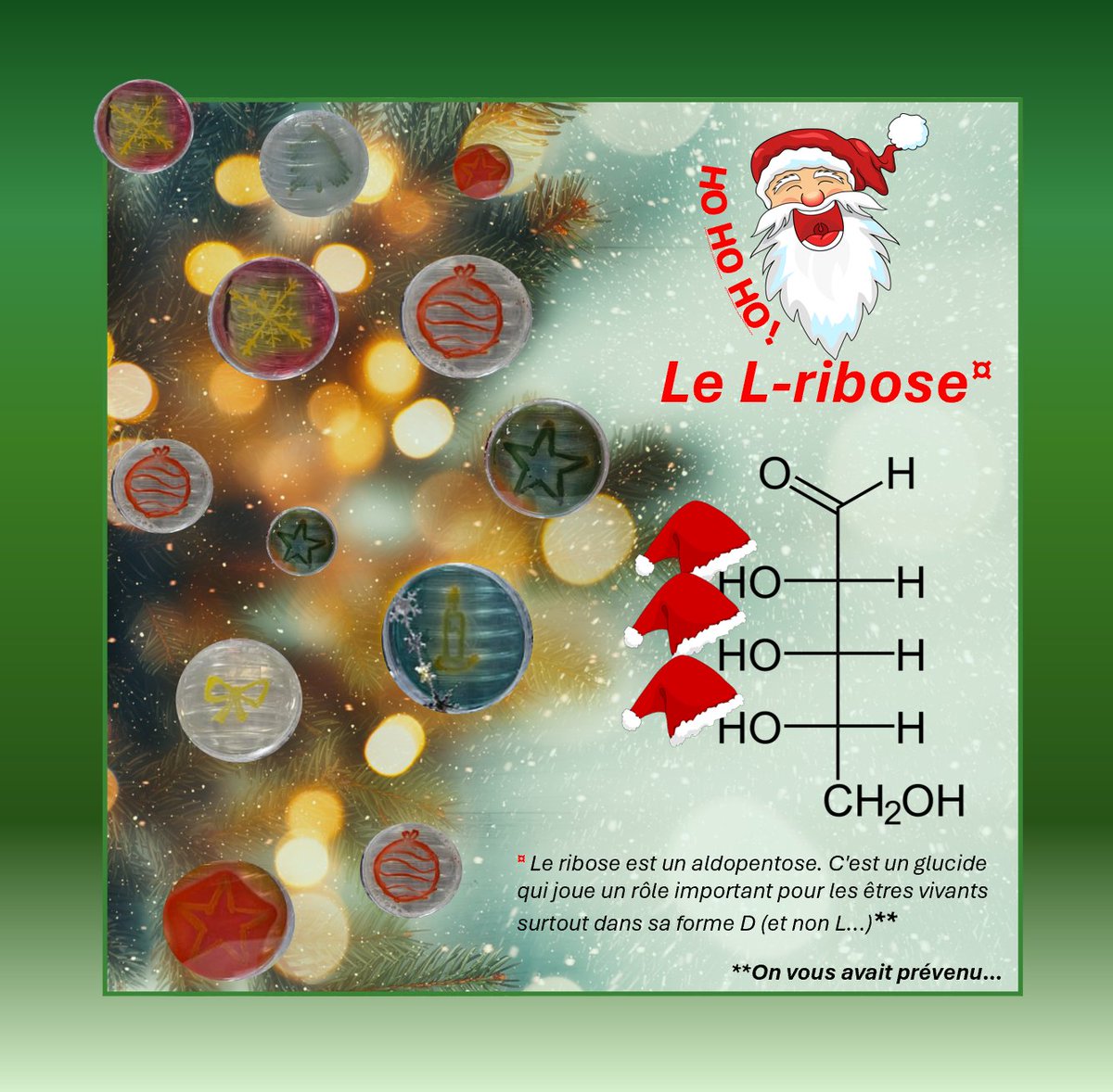 🎄L'UPBM vous souhaite de très belles fêtes de fin d'année.🎄
Puissent ces derniers jours de l'année 2024 être empreints de bonheur, de douceur et de partage avec vos proches.

Crédits photos : Merci à Vanessa B. et Valérie D. pour leur magnifique Agar Art !