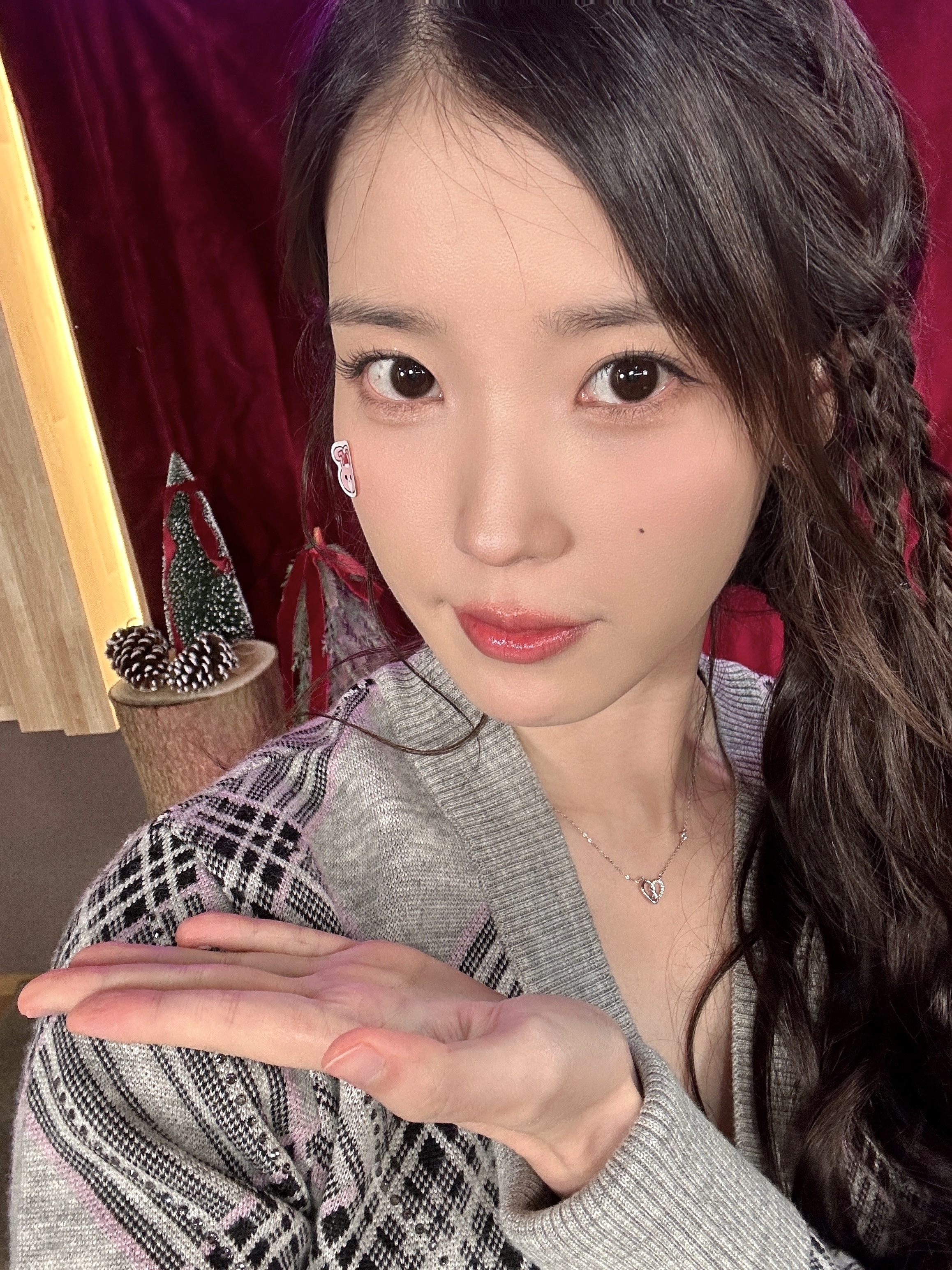 아이유 합성사진 아이유 악플러 잡고보니 중학교 동문…충격 사실 공개 | 한국경제
