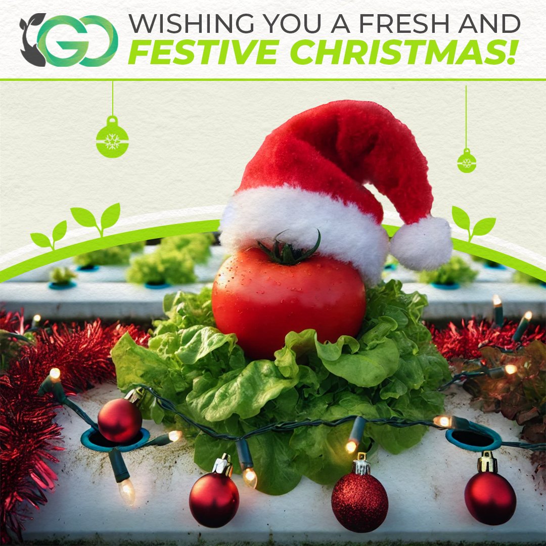 AquaganicsGo's tweet photo. As we celebrate the most wonderful time of the year, we’re thankful for the support of our amazing community. 🌿 This Christmas, let’s continue to grow together—fresh, local, and sustainably!

🔗 https://t.co/BZGS8bISYs https://t.co/GQcaw9wejc