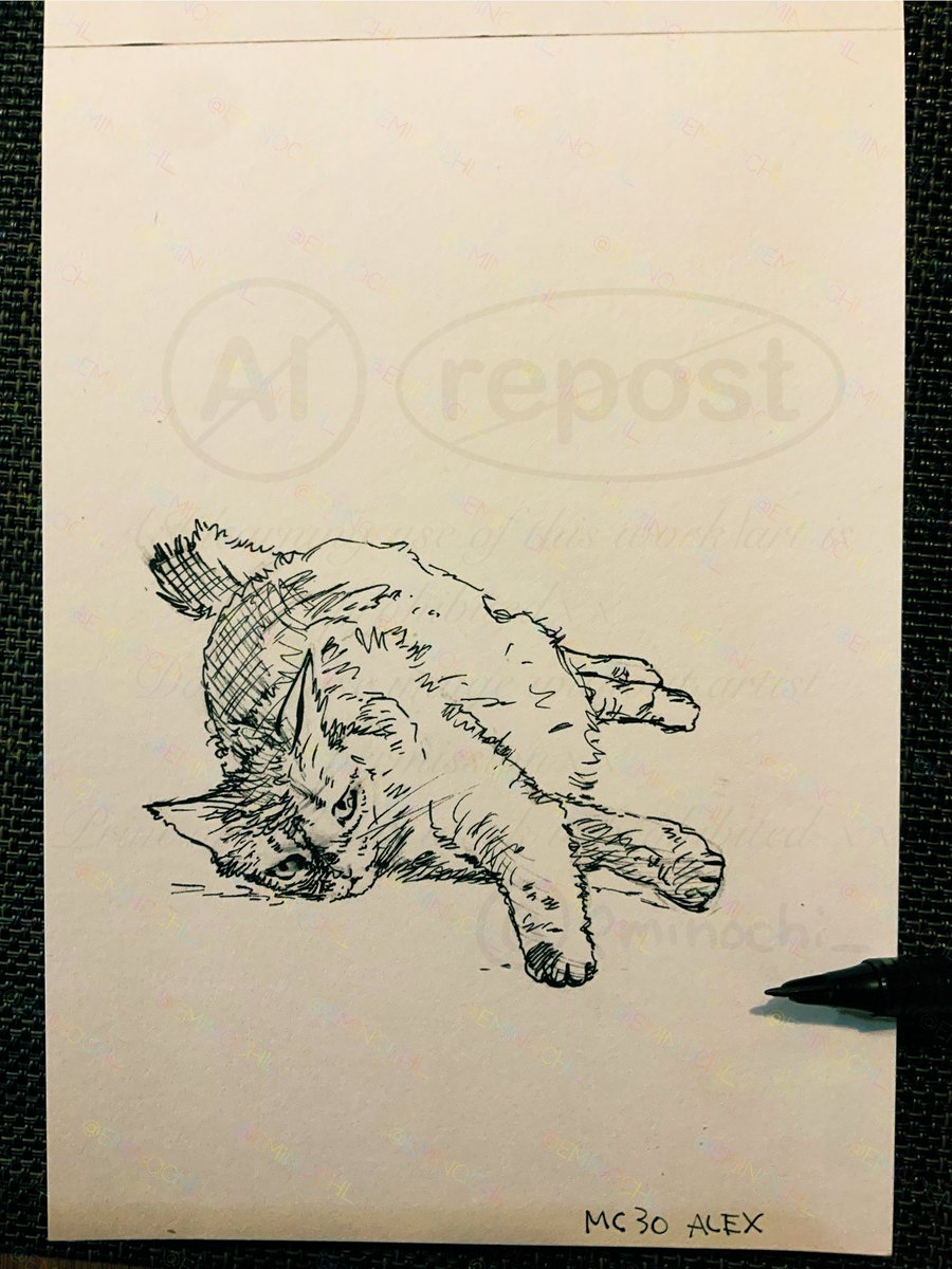 ウチの猫スケッチ🐈🎨　30 ALEX

メリークリスマス🎄

(絵と本文は関係ありません)