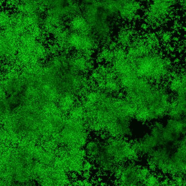 ukbiofilms's tweet image. 🔬Our #ResearchInFocus blog series highlights the diverse #research taking place across our #biofilm network - from safeguarding water quality for the future to using microbial #biofilms to generate electricity! 

👩🏻‍🔬Take a look 🔎 tinyurl.com/4r8v8uj7

#science #scicomm #AMR