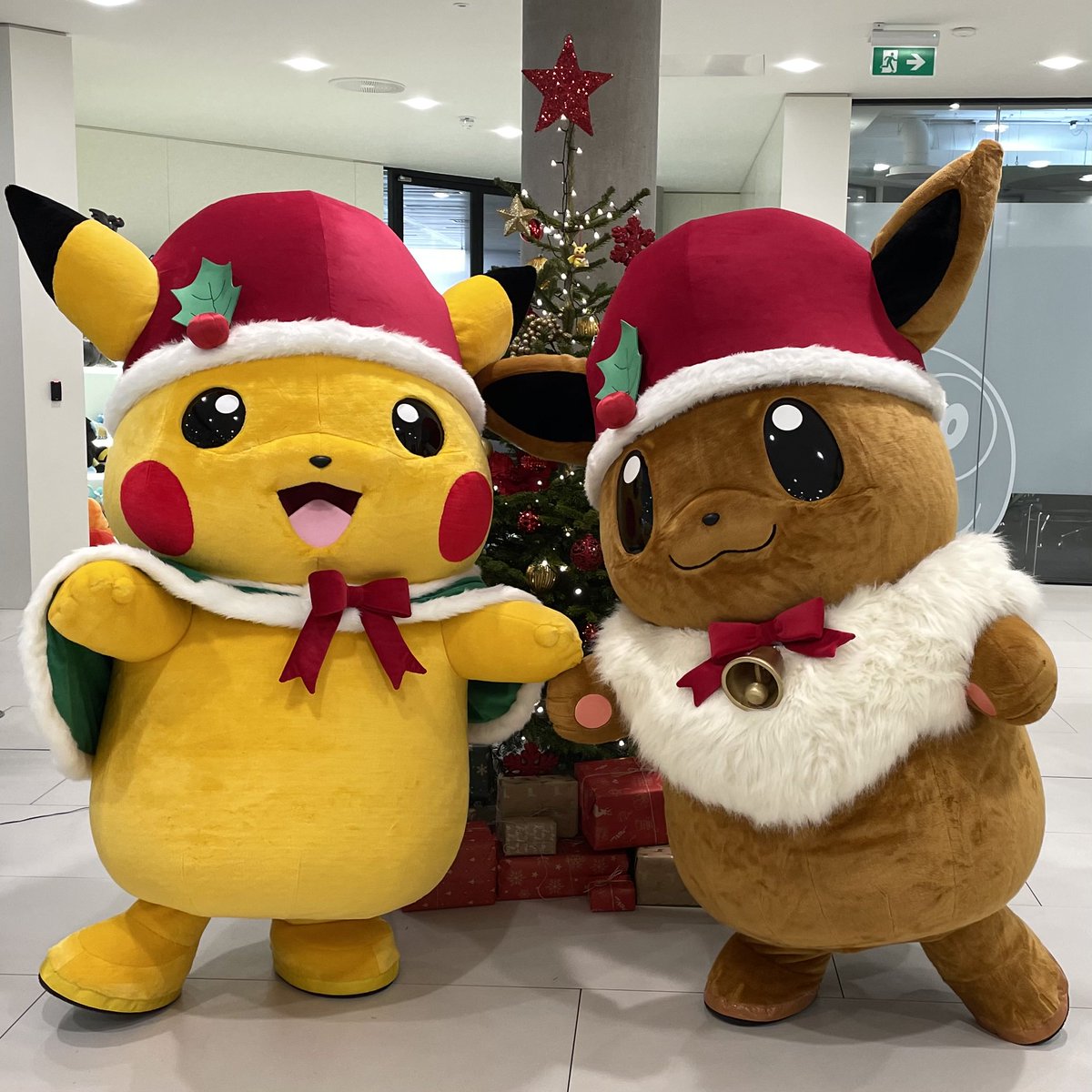 Pikachu and Eevee are here to wish you some festive cheer! 🎄
