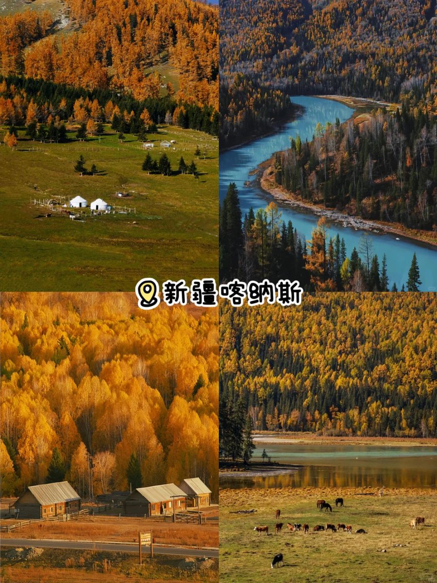 TTO35408943's tweet image. Xinjiang · Kanas • In September, Kanas is like a fairyland on earth, with azure skies, changing lake waters, and golden fallen leaves complementing each other.

#Xinjiang #Kanas #September #Fairyland #AzureSkies