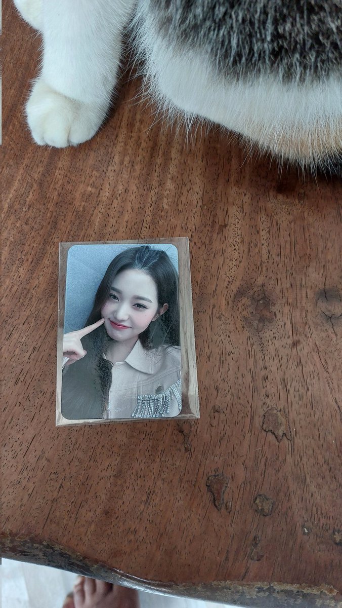 Chachaa® 📌ซื้อขายตอบตามคิวใจเขาใจเราค่ะ🙇🏻‍♀️ tweet media