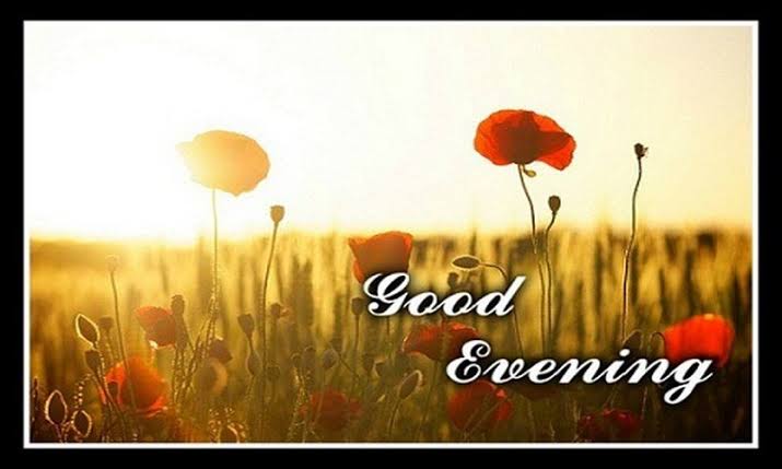 Good evening friends
    Have a great day Tuesday