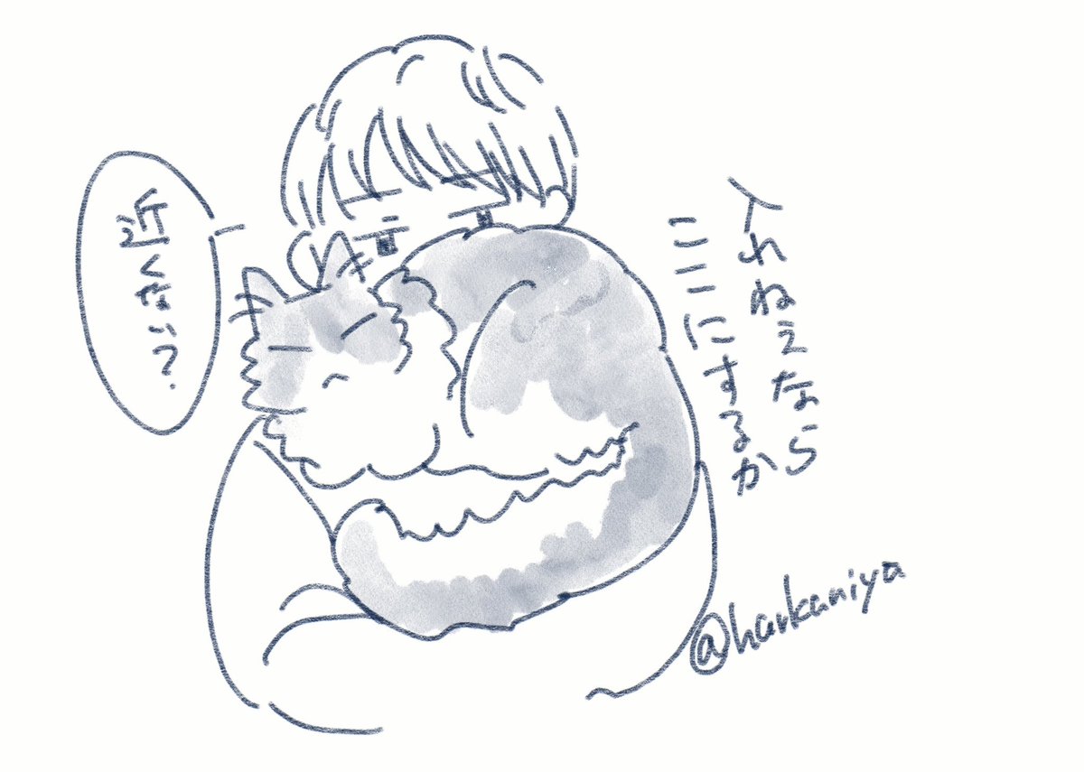 そしてここに落ち着く 
