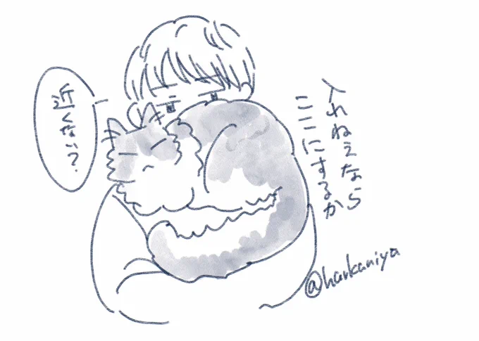 そしてここに落ち着く 