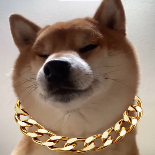 TrenchWarriorNr.1 tweet media