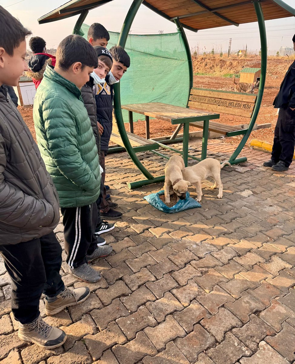 ULUBAĞ İLK/ORTAOKULU tweet media
