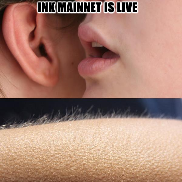 bherderlex's tweet photo. 😅 @inkonchain #merryinkmas https://t.co/jUiSsPUSM3