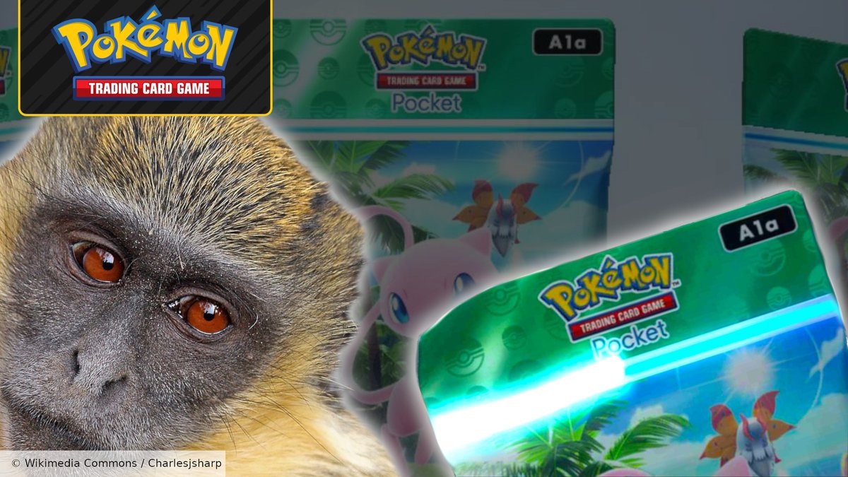 We don't know if the Pokemon pocket pack carousel does a damn thing - so why do I spin it every single time? There's *something* going on here:🔗⬇️
wargamer.com/pokemon-tcg-po…

#pokemon #pokemontcg #pokemontcgpocket