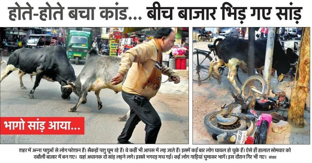 भाजपा सरकार जब छुट्टा पशुओं के आतंक से जनता के जान-माल की रक्षा नहीं कर पा रही है तो फिर वो अपने उन भाजपाइयों से सवाल क्यों नहीं पूछ रही है, जो कई साल पहले वोट के बदले, अन्ना पशुओं की समस्या के समाधान का वादा करके गये थे। 

भाजपा को जनता की सुरक्षा के लिए ‘S-Category’ की नयी