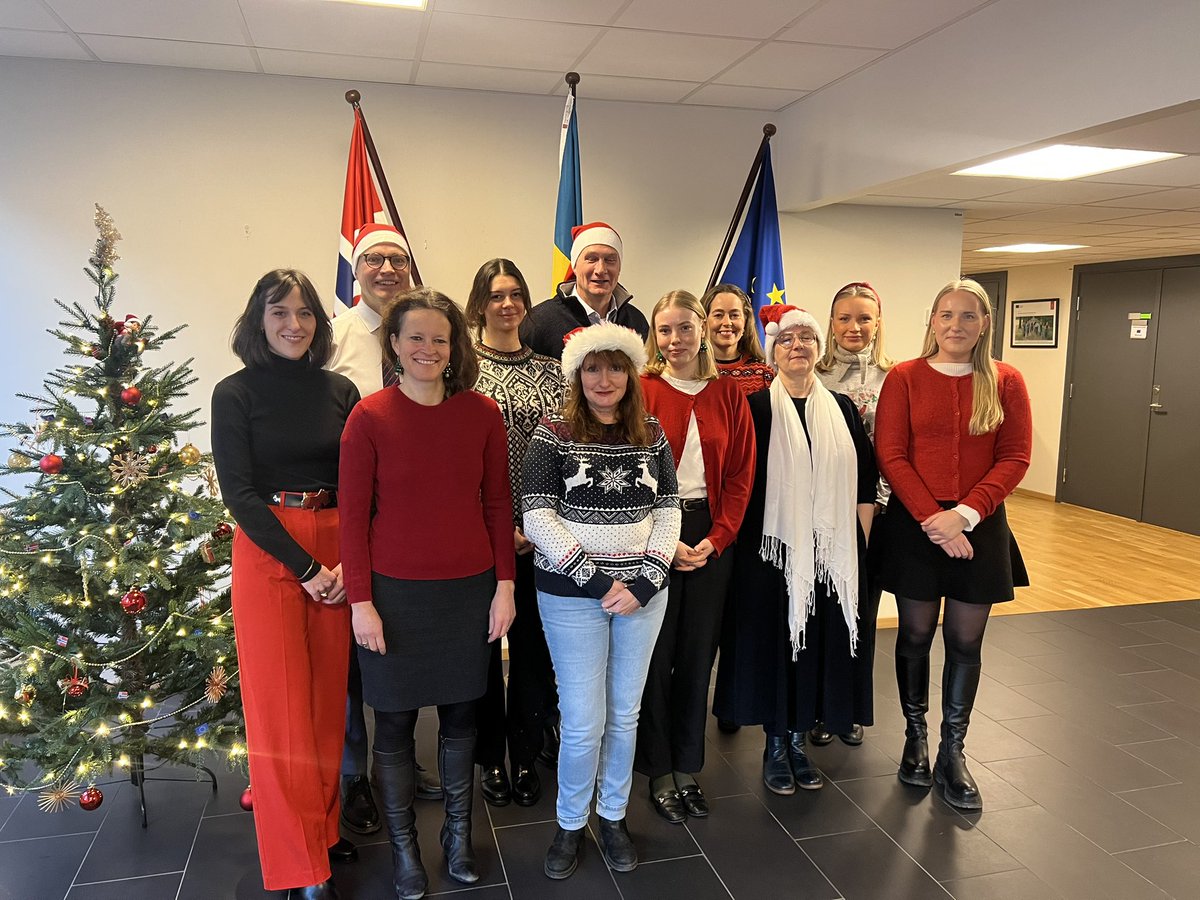 God jul og godt nytt år! 

Vi ved EUs delegasjon til Norge ønsker deg en fredelig høytid og alt det beste for det kommende året✨