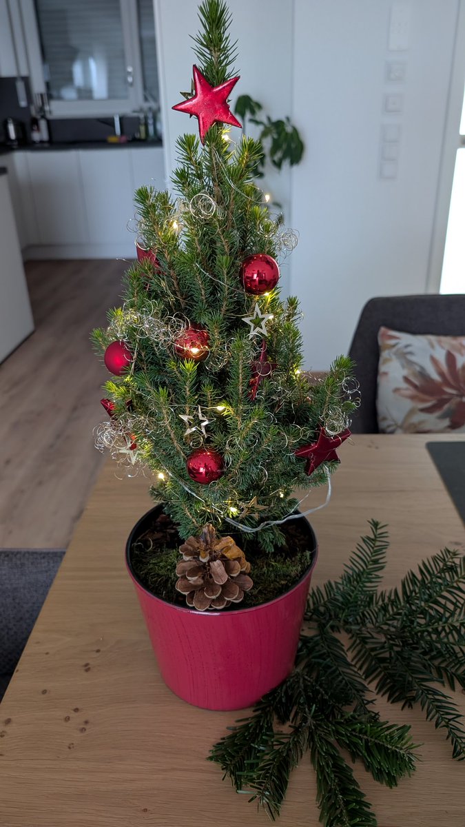 Frohe Weihnachten 🎄🦌🎁