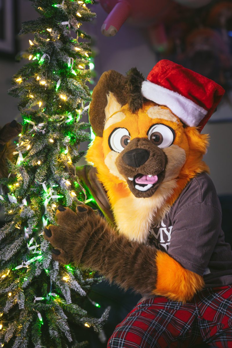 manedbento's tweet photo. Tree Hugger 🎄🎅
#fursuit #fursuiter https://t.co/Yk5JzcJ3CU
