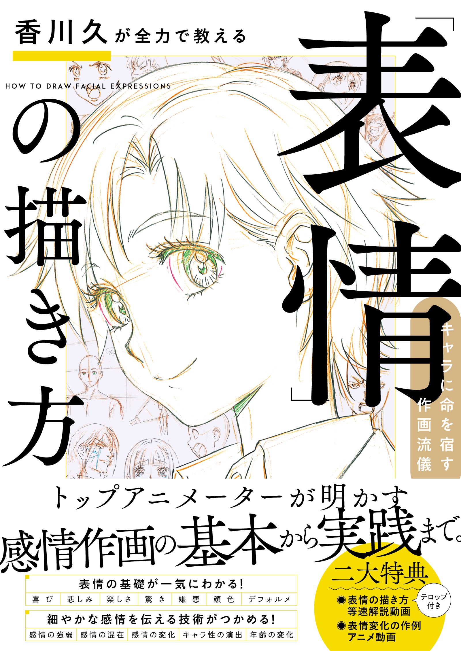 香川久 Hisashi Kagawa (@DanngoDaisuki) / X