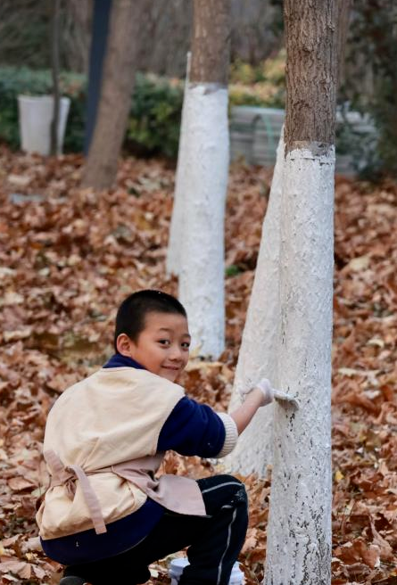 YTheLittleSpoon's tweet image. Thumbs up for these #Dongtai kids! They painted the big trees white and crafted "clothes" for them to help keep the trees warm through the winter! #SocialPractice #HuanghaiForestEco-tourismResort #Children