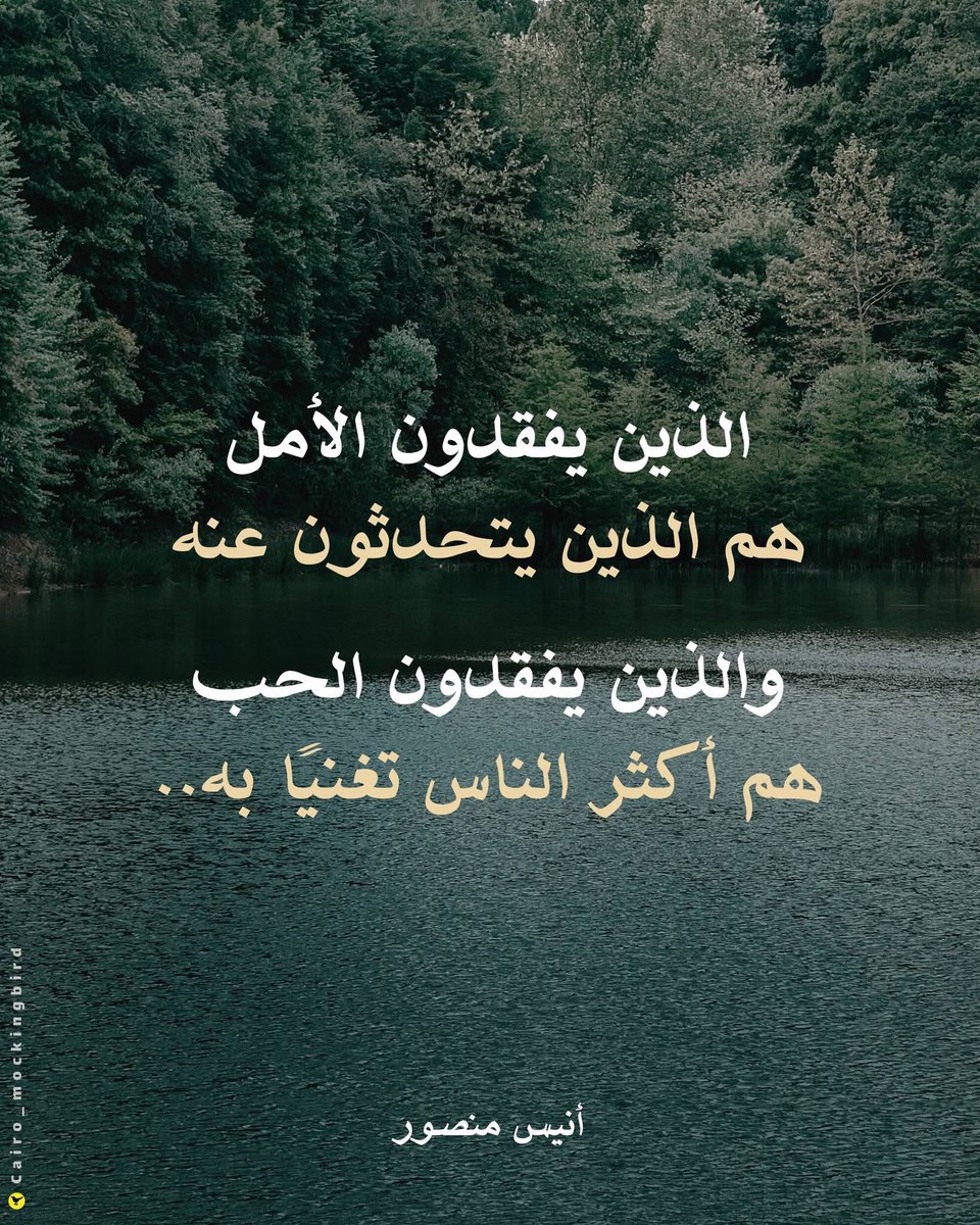 𝐂𝐚𝐢𝐫𝐨 𝐌𝐨𝐜𝐤𝐢𝐧𝐠𝐛𝐢𝐫𝐝 tweet media