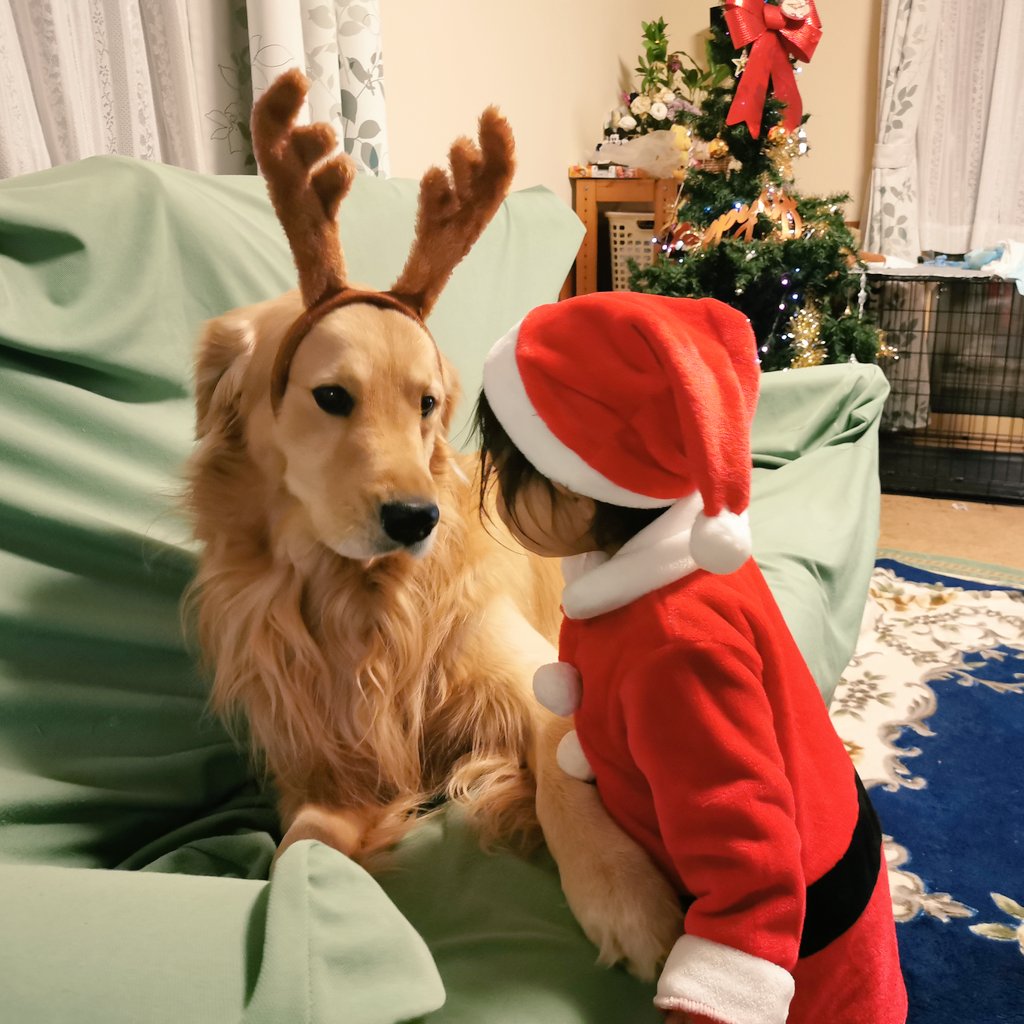 fortegolden's tweet photo. 🎅出発するよ！準備はいい！？
🦌は、はい… https://t.co/PkXgrNjZW6