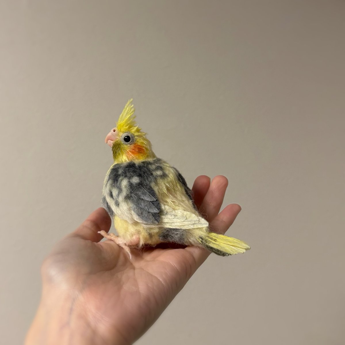 オーダーのオカメインコの雛完成しました。 #羊毛フェルト #オカメインコ