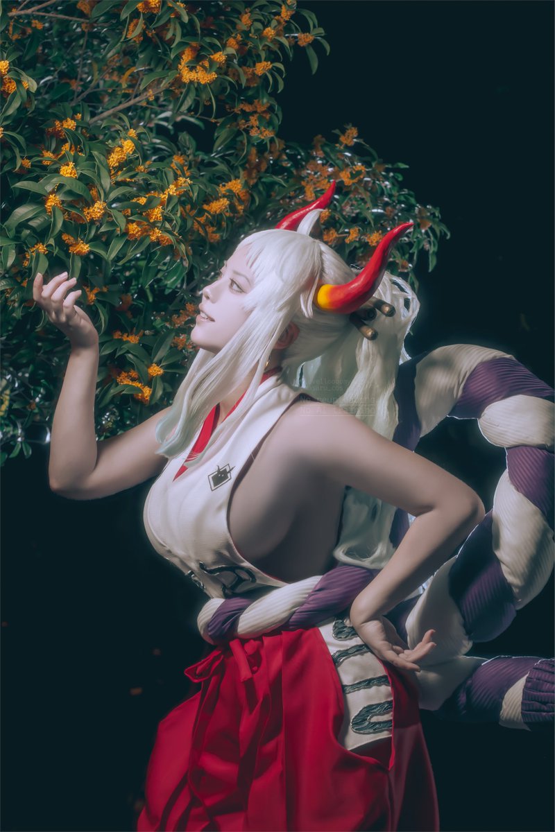 ヤマト  ONE PIECE
photo.<a href="/masaru_cos/">まさる🐵双子</a> #まさるみ