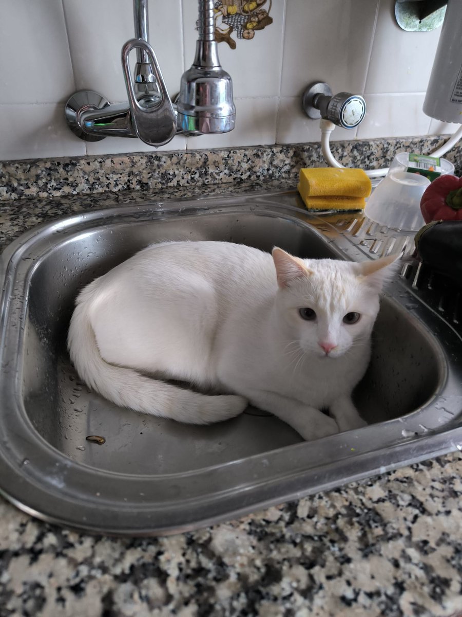 Inma 🐳 tweet media