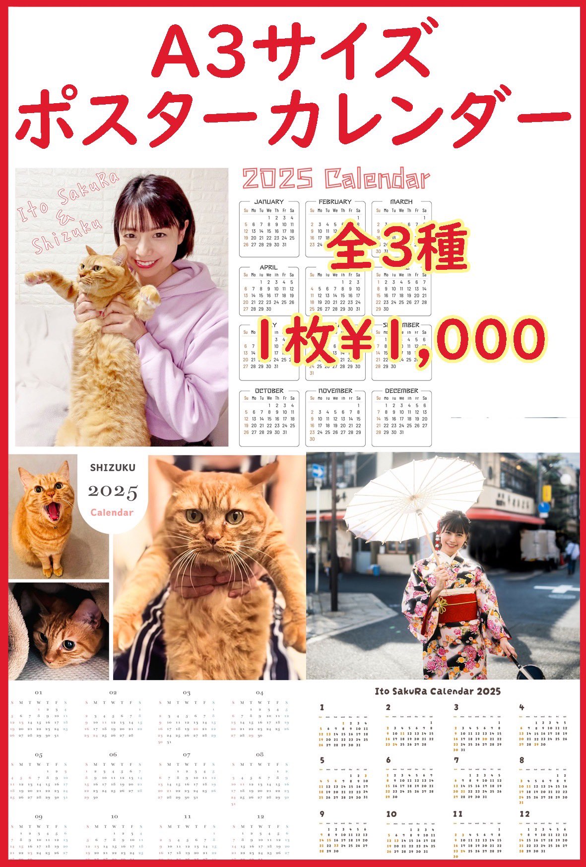 伊藤さくら@6/15 mint hallワンマン a X: 