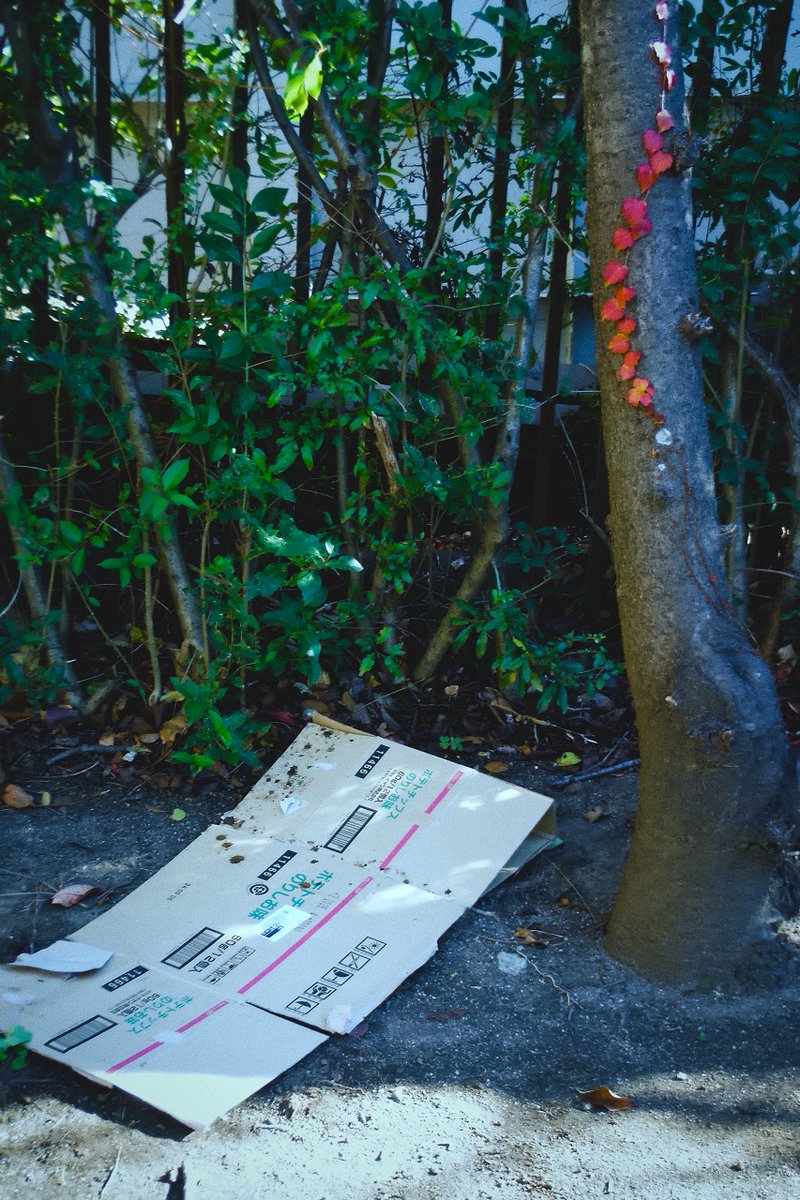beansowing's tweet photo. #写真 #FujiFilm #xp70 #コンデジ #snap https://t.co/B4ts1plsBI