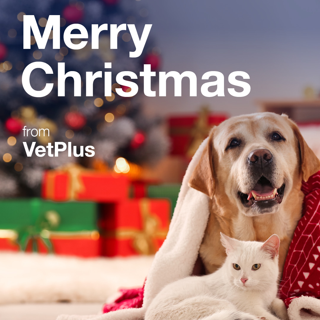 Merry Christmas from all of us at VetPlus! 

We wish you and your furry friends a Christmas filled with joy and happiness 🎄🎁