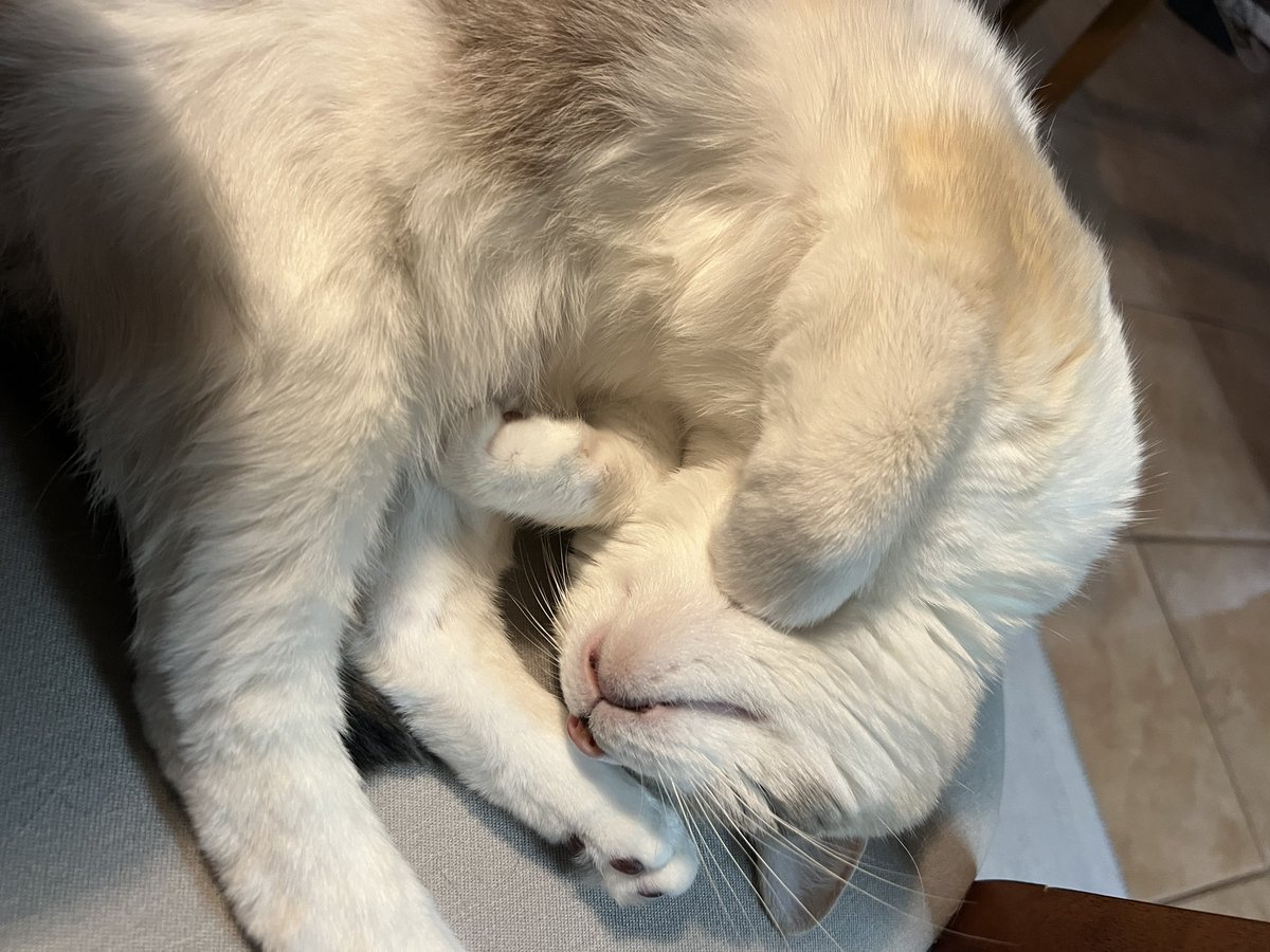 I can’t believe she is turning 7 this year