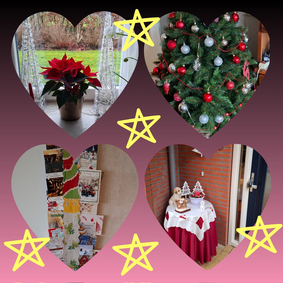 Kajee45Kajee's tweet image. #Dag24 van de #Foto_Adventskalender  @josephiensierag 
#kerstavond 
Kerstavond is traditie dat we naar onze moeder gaan .Vroeger toen mijn vader nog leefde was het altijd 2e kerstdag. Maar inmiddels is ze 90 en woont in een appartement.🎄💫
Josephien bedankt voor het organiseren