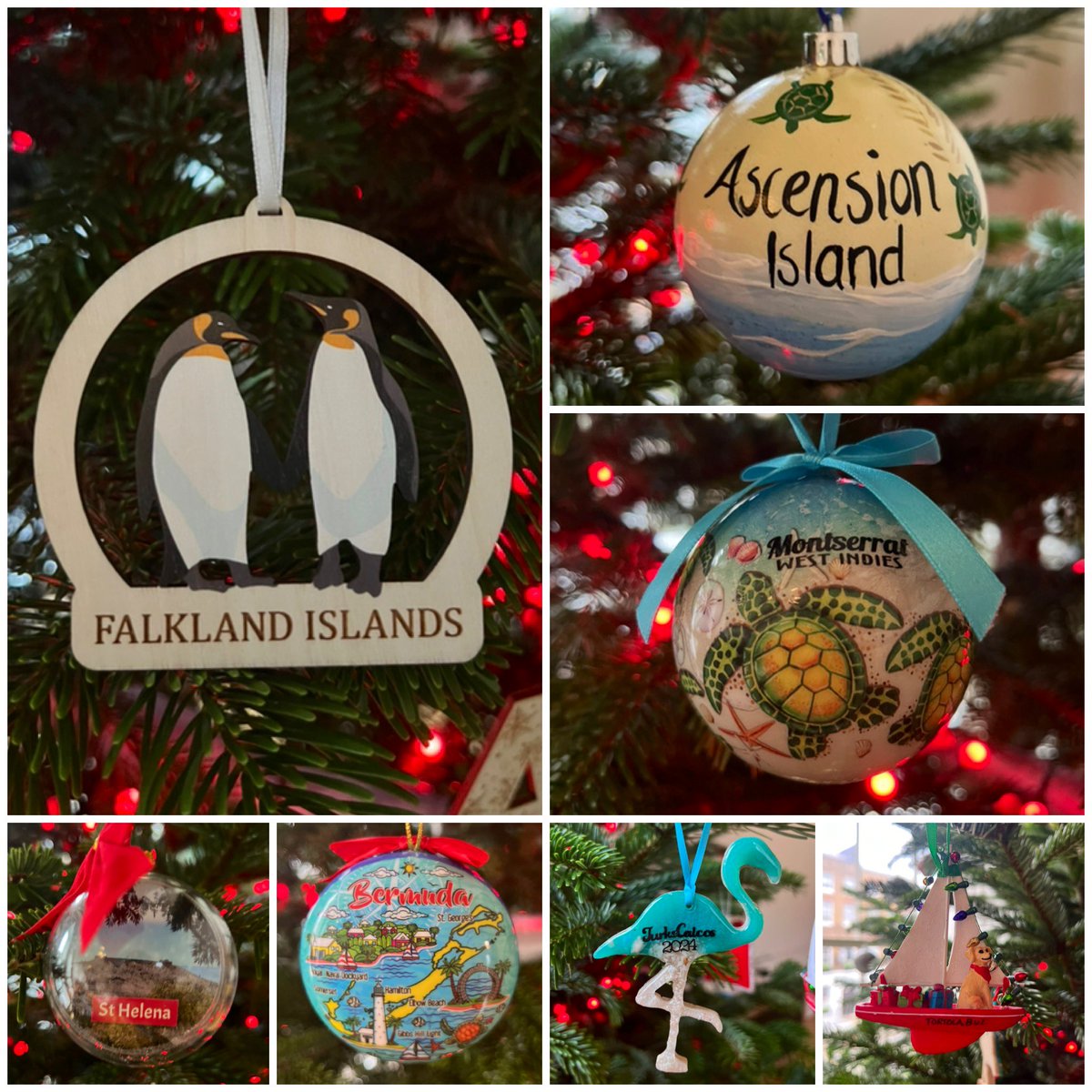 AdamPileUK🇬🇧 tweet media