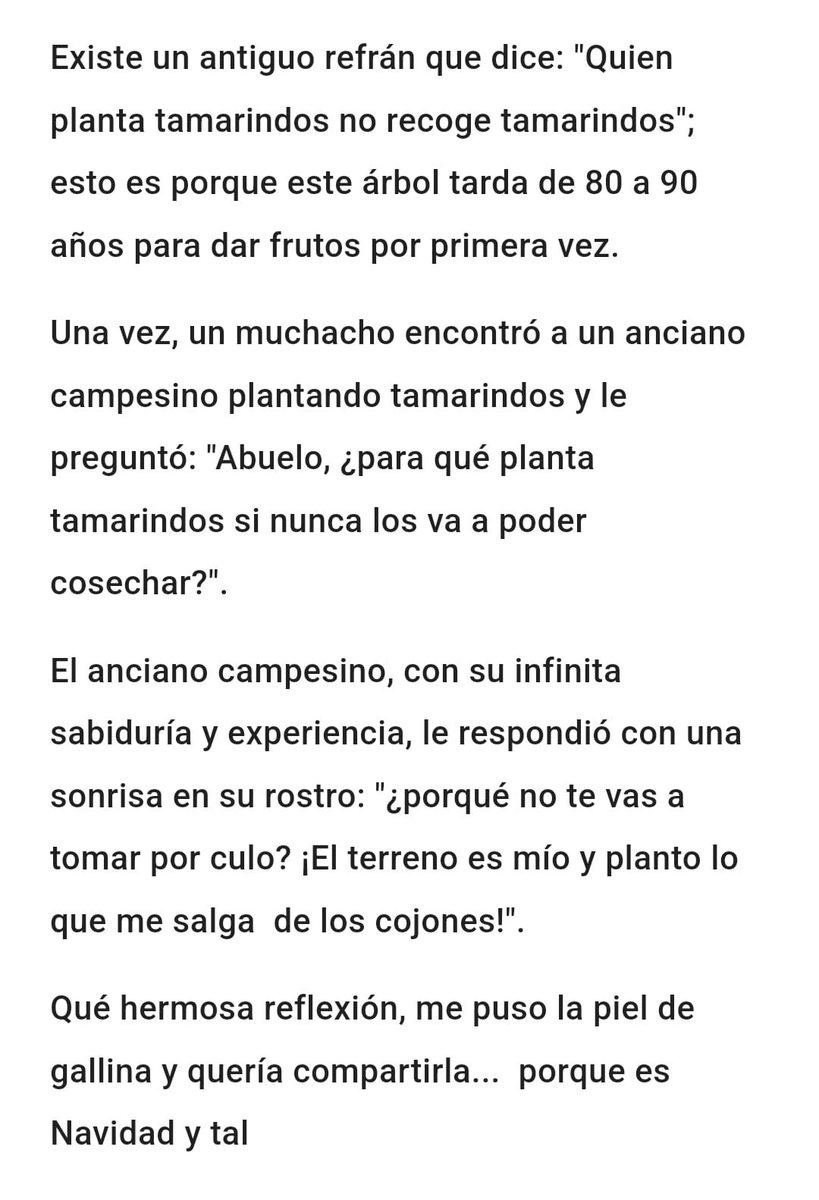 Feliz festín del festival de invierno 🥳🥳🥳