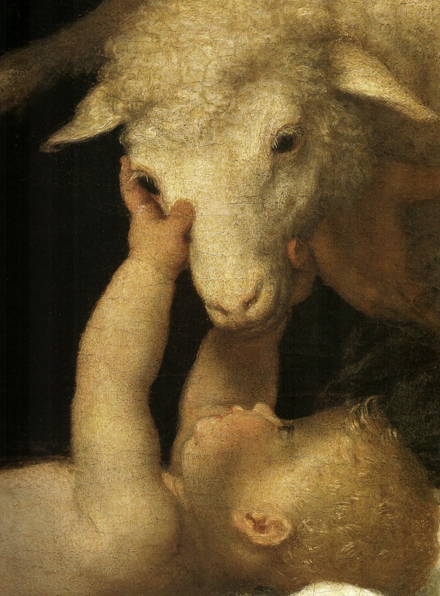 Diego S. Garrocho tweet media