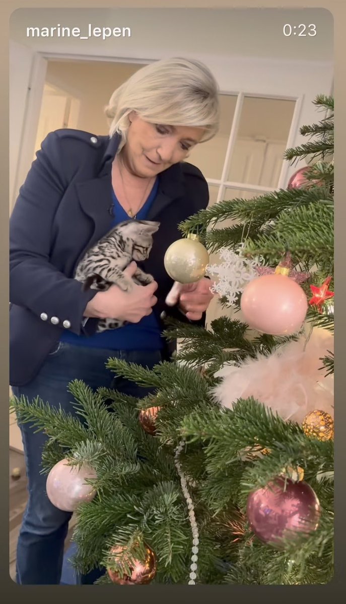 VScrignac's tweet photo. 🚨ALERTE INFO🚨
La chatte de Marine le Pen raffole des grosses boules https://t.co/DnjzsY9F0l