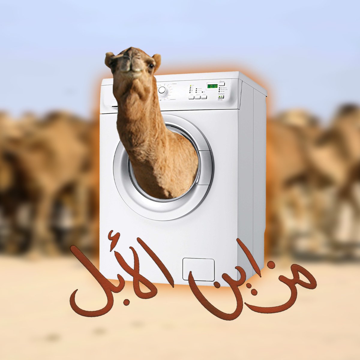مشاركة المشاهير في #مزاين_الابل

دعايه او غسيل!!