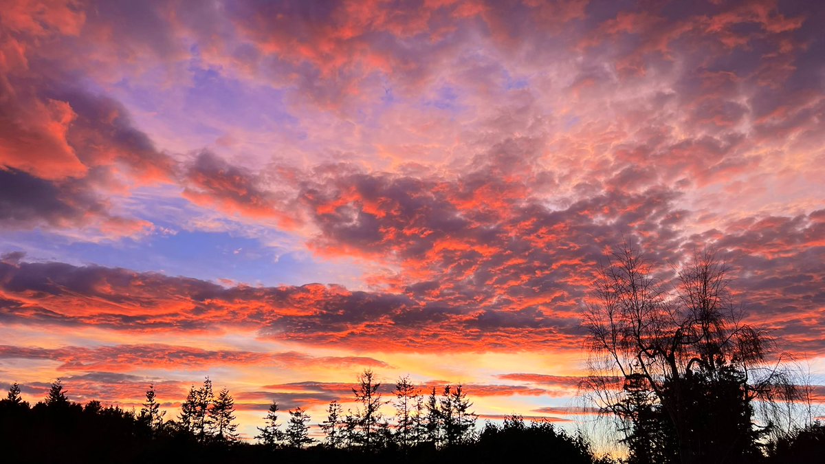 Christmas Eve sunset in Forres. 🏴󠁧󠁢󠁳󠁣󠁴󠁿🎄