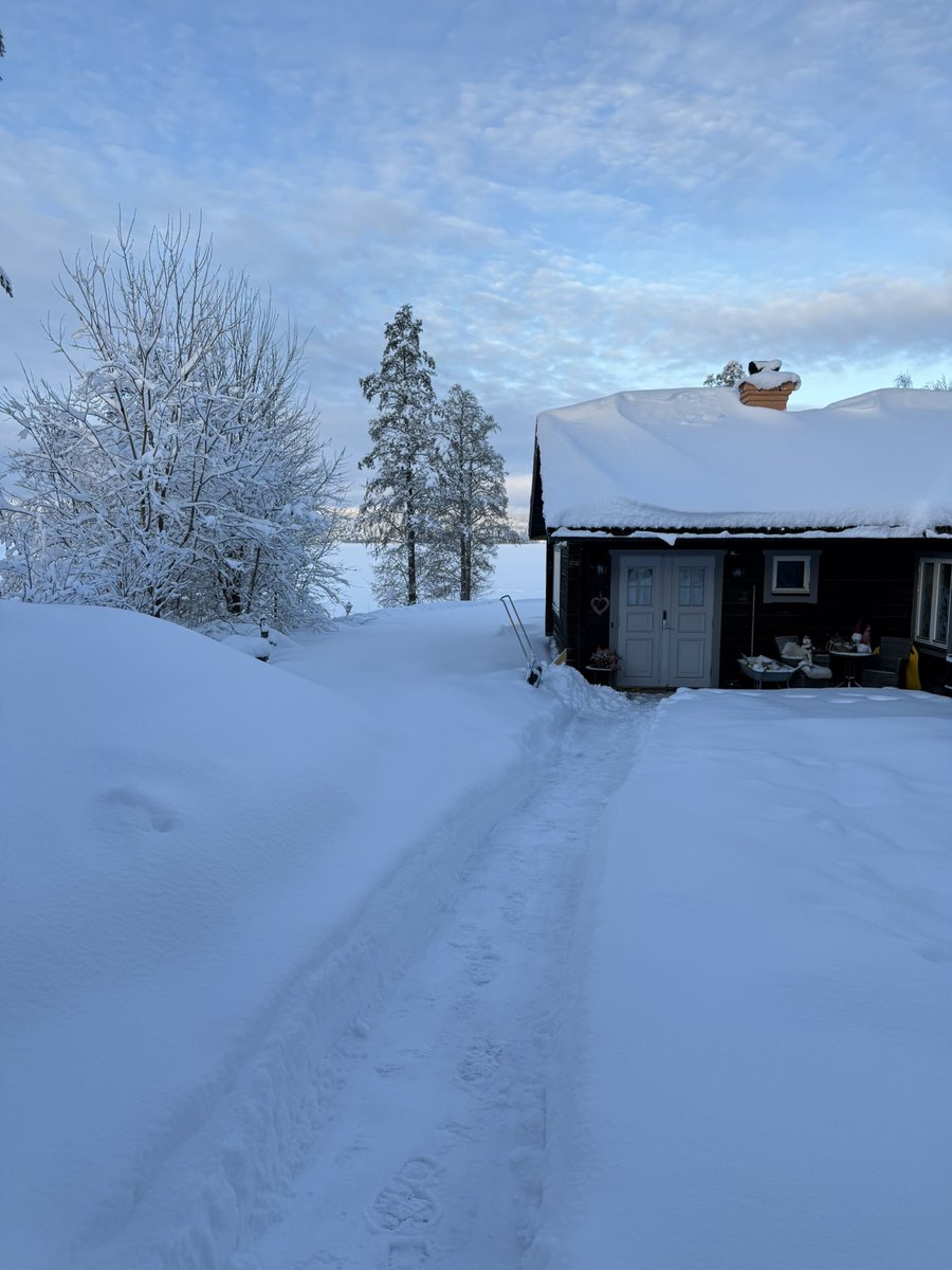 Pingv1nen's tweet photo. Vädergudarna räddade julen i sista stund 🌨️ God Jul! 🎄 🎅🏻 https://t.co/wrD8xQ77Yt