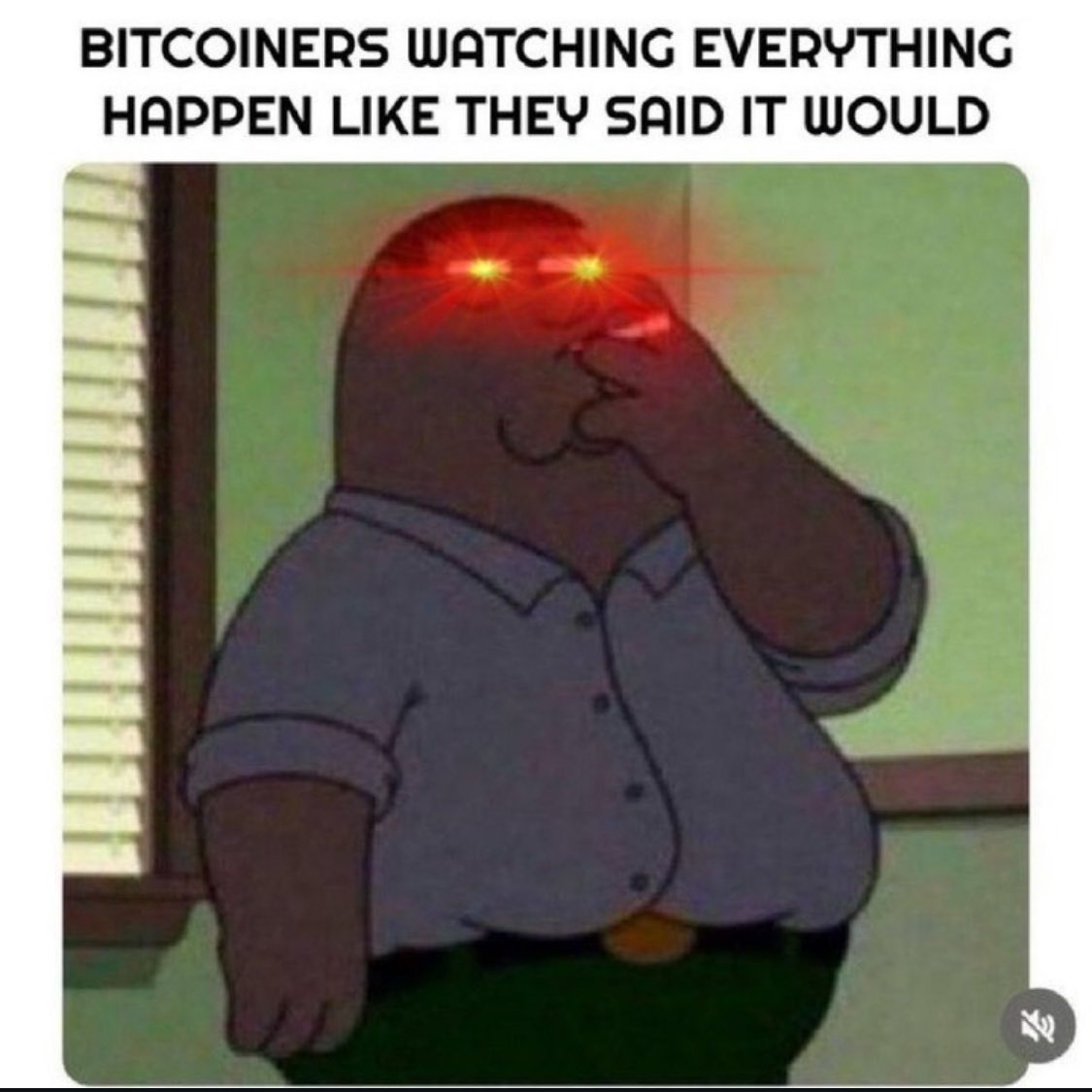 corybates1895's tweet image. Bitcoiners are batting a thousand