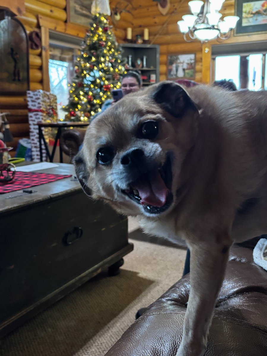 Scooby is excited to wish everyone a Merry Christmas and a Happy Hanukkah this year.