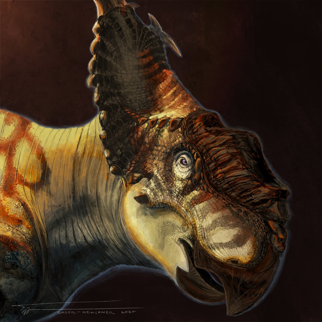 Pachyrhinosaurus canadensis portrait commission for a client from Instagram!