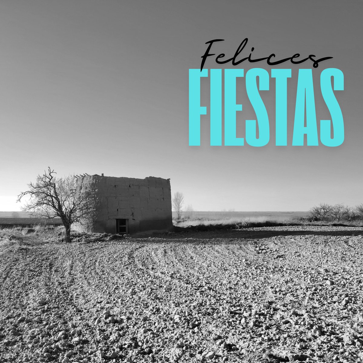 Felices fiestas, felices festas, happy holidays 🤍🩵✨😘