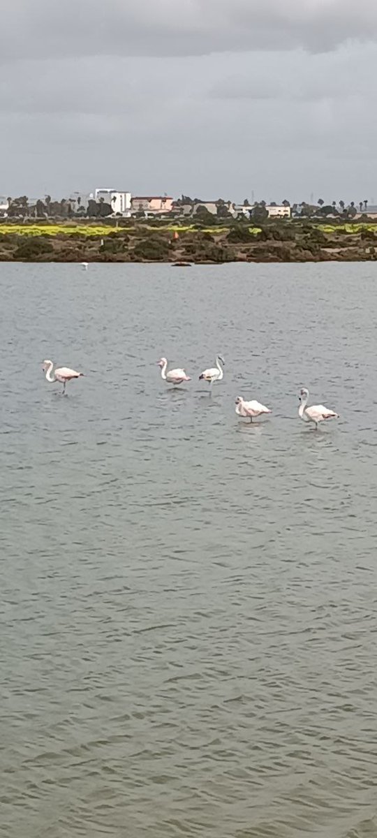 Roderick BlackSnow (@rod_black_snow) on Twitter photo 