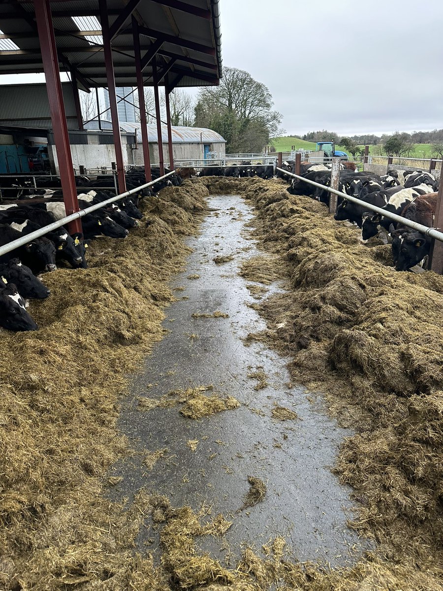 Christopher Cahill tweet media