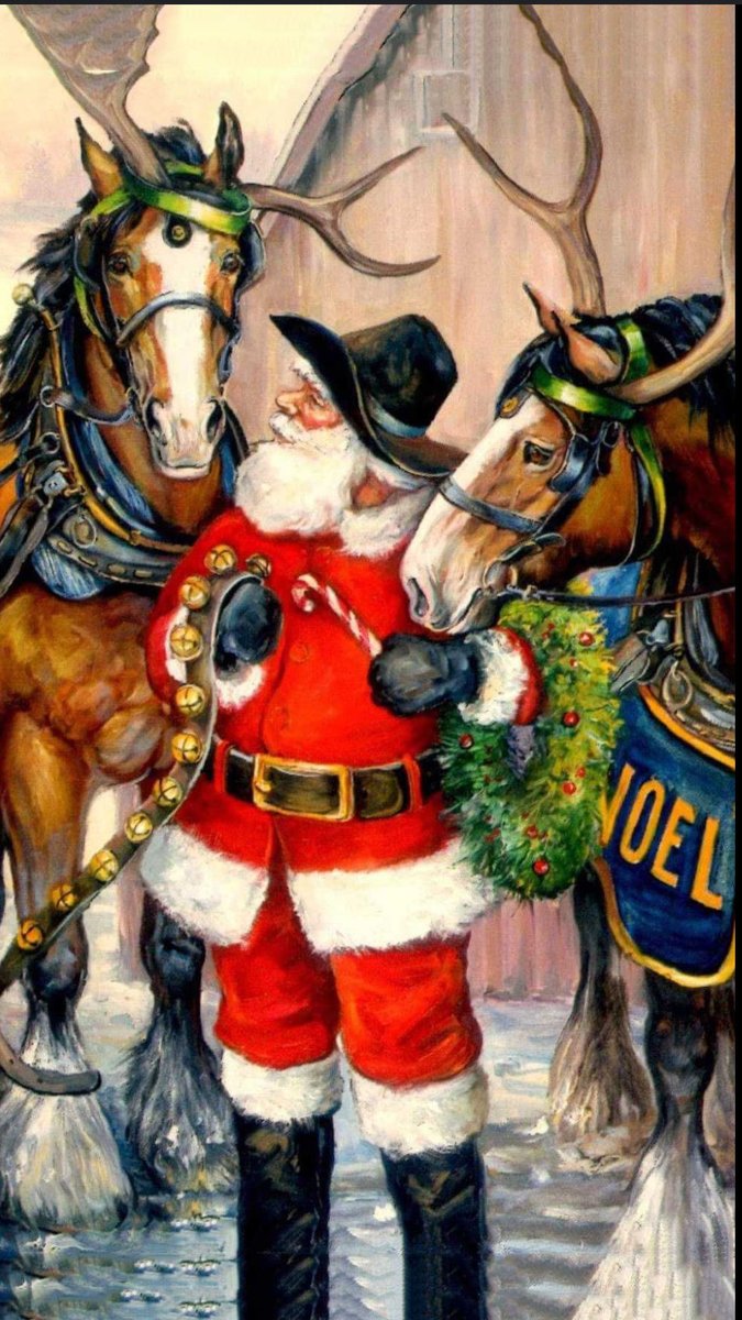 From our family at the Wahoo Saddle Club we would like to wish you a Merry Christmas and a Happy New year. Cheers!