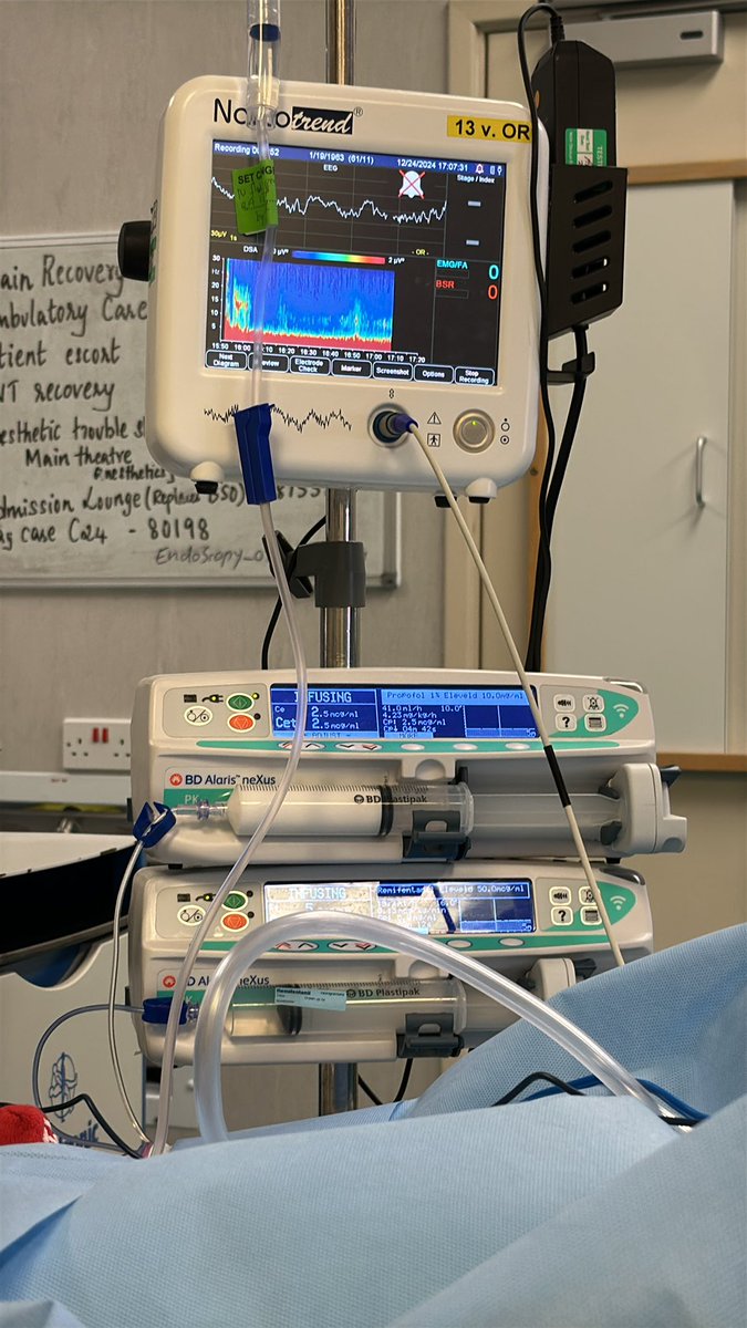 Happy Christmas! What do you think of my tree?