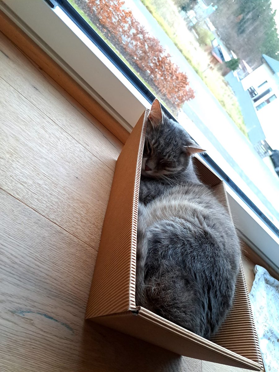 70s1ta's tweet photo. #Krippe ist besetzt 😸 https://t.co/QuK7GEzdws