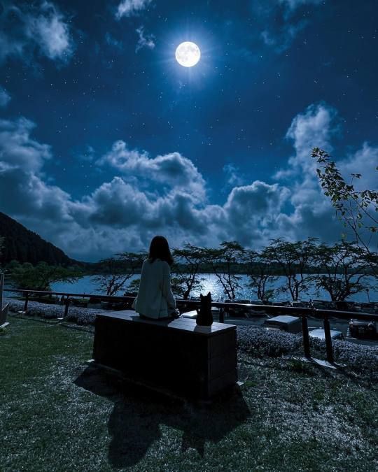 Good night 💤 Everyone 
🔁🔄❤️🩷❣️