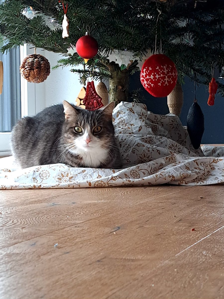 70s1ta's tweet photo. FroheWeihnachten https://t.co/noKoS8bgW2